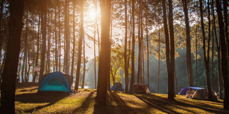 7 Camping Benefits for Health & Circadian Rhythm