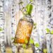 8 Of The Best Experimental Cask Whiskies For 2023