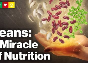 Beans – A Miracle Of Nutrition