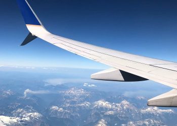 Vegan tips for taking food on a plane