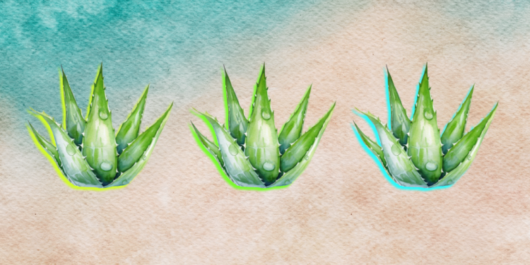 4 Aloe Vera Recipes to Boost Hydration and Recovery