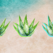 4 Aloe Vera Recipes to Boost Hydration and Recovery