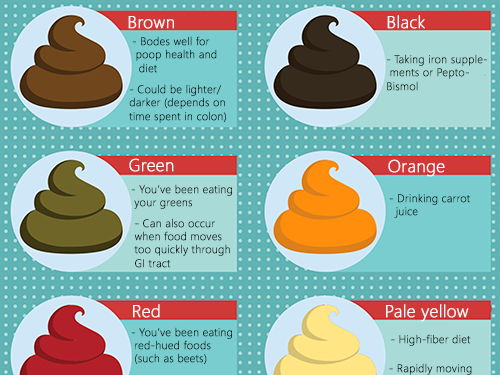 How to Read Your Poop for Clues About Your Diet