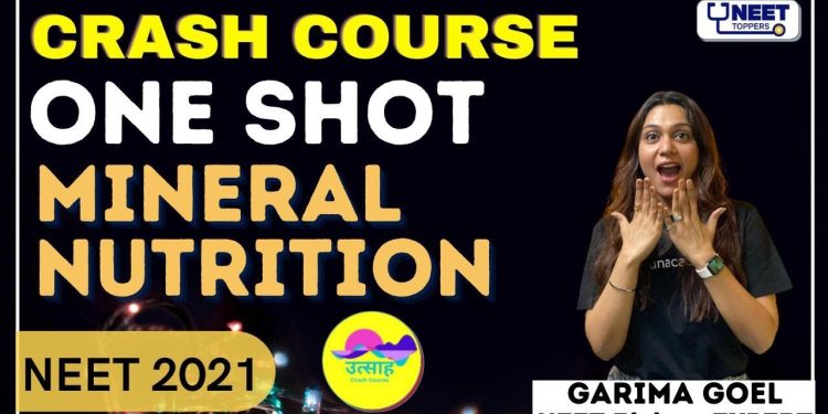उत्साह : Mineral Nutrition | One Shot | Garima Goel