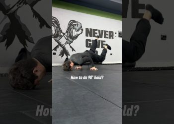 How to do 90° hold? #calisthenics #fitness #workout #bodyweighttraining #homeworkout