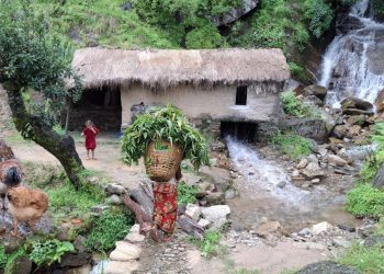 This is Himalayan Most Peaceful Nepali Village Lifestyle | Organic Food Cooking in Countryside |