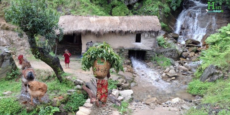 This is Himalayan Most Peaceful Nepali Village Lifestyle | Organic Food Cooking in Countryside |