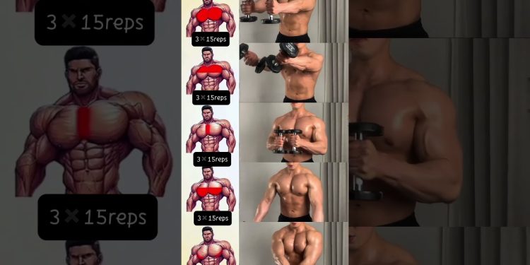 Chest workout #fitness #chestworkout