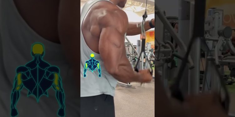 Top Triceps Anatomy Explained   Long, Lateral & Medial Heads #shorts #fitness #motivation