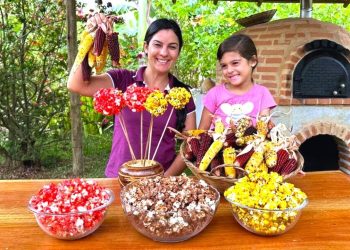 Plantei milho de pipoca e descobri uma nova paixão das crianças!