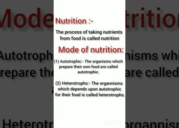 nutrition define and mode of nutrition #music #education #treanding #viral #biology #trendingshorts