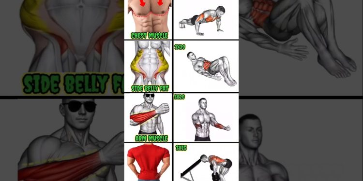 🔥 Full Body Workout at Home 💪 | #Chest #Abs #Arms #Back #Workout #Fitness