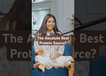 Animal Protein vs Plant Protein – Which is Better?