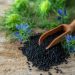 Kalonji Seeds – Benefits, Nutrition, & Recipes