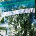 How to Freeze Kale (Easy Kitchen Hack)