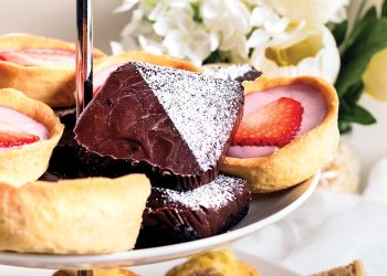 Vegan Mint Chocolate Tortes