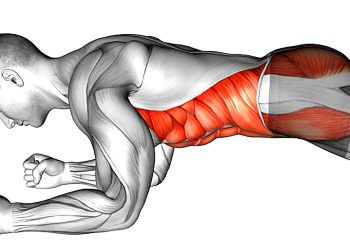 Plank Workout Challenge To Lose Belly Fat in 10 Day