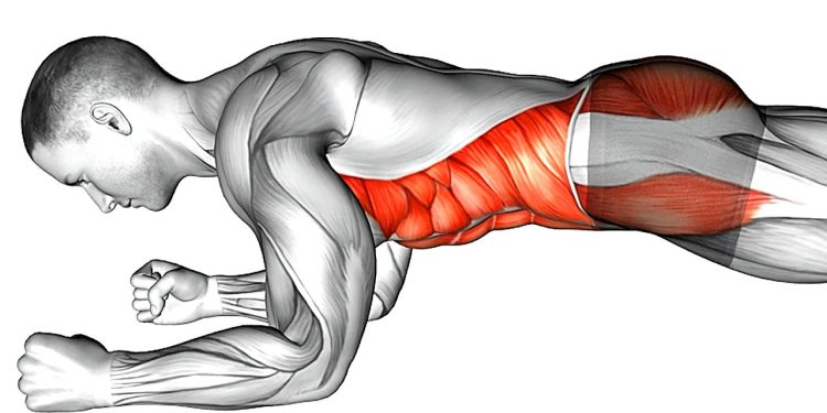 Plank Workout Challenge To Lose Belly Fat in 10 Day