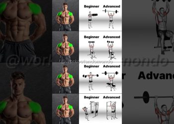 Beginner to Pro Shoulder Workout