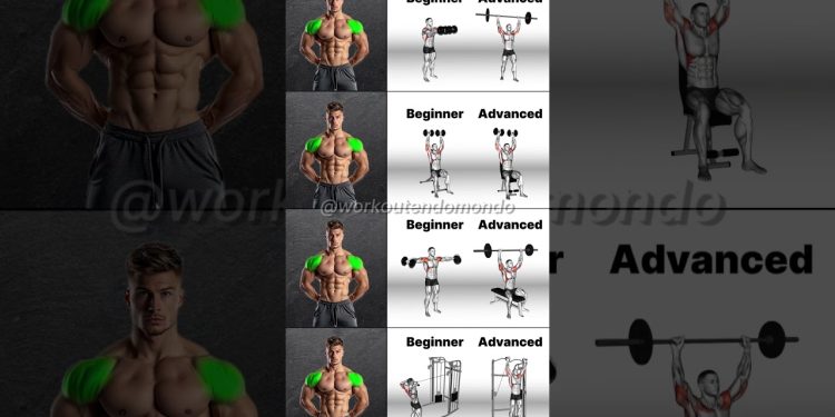Beginner to Pro Shoulder Workout
