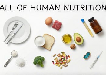 ALL OF NUTRITION SCIENCE in 13 Minutes (No BS)