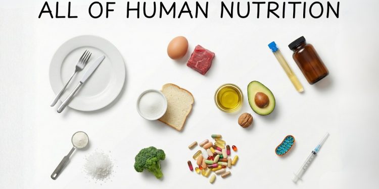 ALL OF NUTRITION SCIENCE in 13 Minutes (No BS)