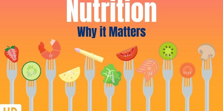 Nutrition And Why It Matters