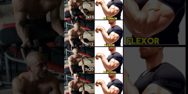 “Best Forearm Workout Variations for Bigger, Stronger Arms!”#shorts #fitness #motivation