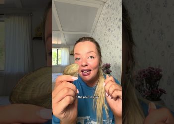 What a whirlwind ￼