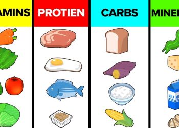 How The Six Basic Nutrients Affect Your Body