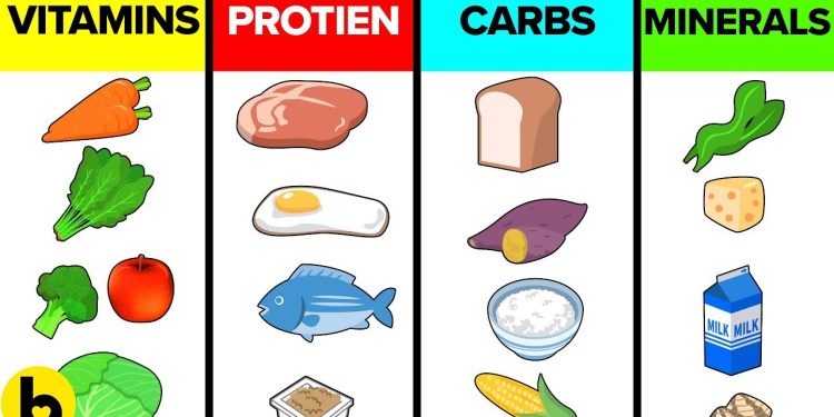 How The Six Basic Nutrients Affect Your Body