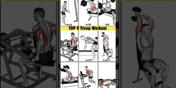 9 Powerfull Tricep Workout to Transform Arms| #workout #tricepsworkout