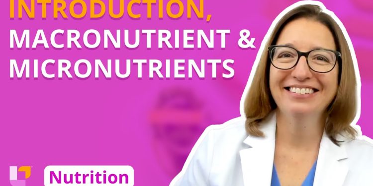 Introduction, Overview of Nutrients – Nutrition Essentials | @LevelUpRN