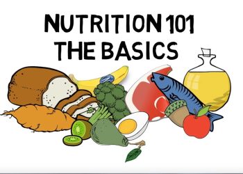 Basic Nutrition and Macro – Nutrients Video Animation by Train With Kane