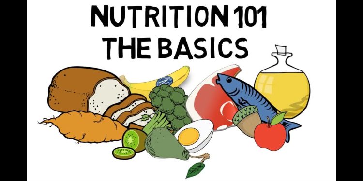 Basic Nutrition and Macro – Nutrients Video Animation by Train With Kane