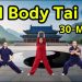 30 MIN Tai Chi Exercise for Women | Lose Weight Stay Slim and Boost Health