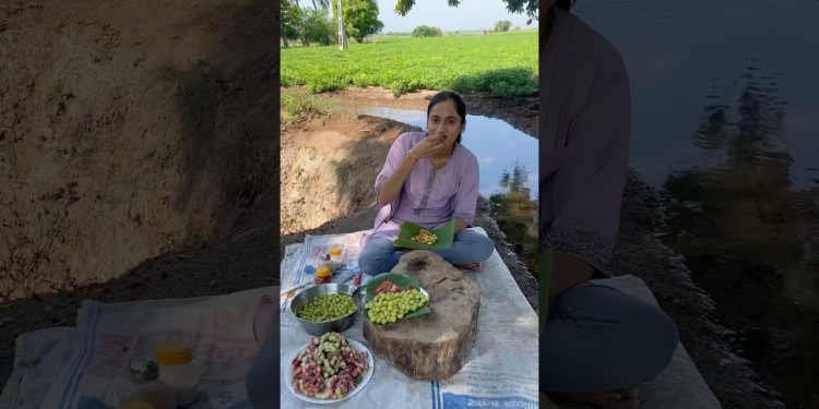 Village life style in summer – summer fruit