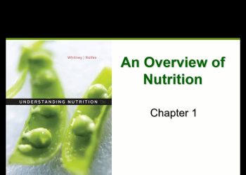 Nutrition Overview (Chapter 1)