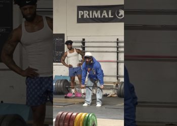 ANATOLY Use FAKE WEIGHTS in GYM PRANK #anatoly #fitness #gym