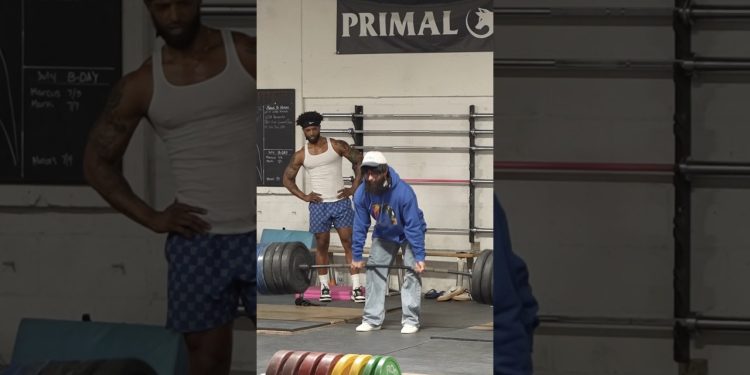 ANATOLY Use FAKE WEIGHTS in GYM PRANK #anatoly #fitness #gym