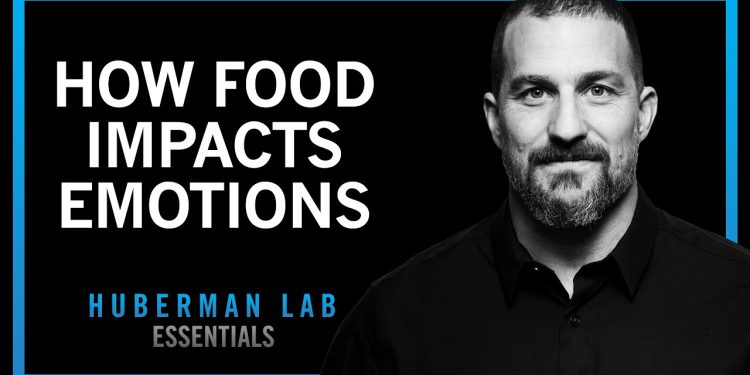 How Foods & Nutrients Control Our Moods | Huberman Lab Essentials