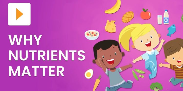 Food Groups And Nutrition