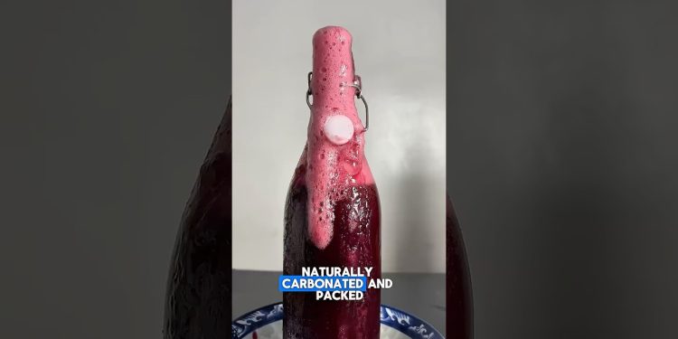 Probiotic Zobo Fizz ( Must Watch) #explore #zobo #healthydrink