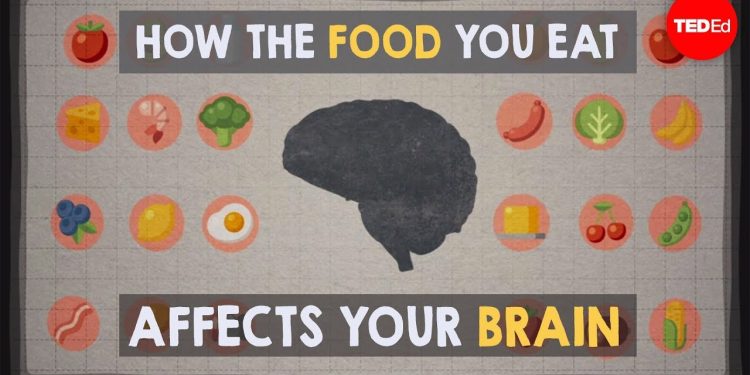 How the food you eat affects your brain – Mia Nacamulli