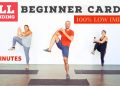 Low impact, beginner, fat burning, home cardio workout. ALL standing!