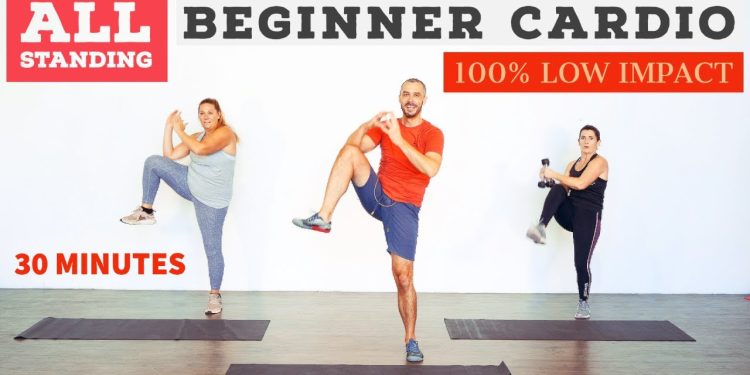 Low impact, beginner, fat burning, home cardio workout. ALL standing!