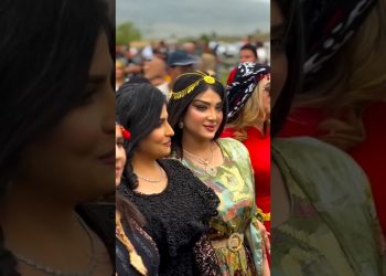 What is tha life of Dubai's Sheikhs like😍