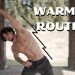 WARM UP ROUTINE BEFORE WORKOUT | Quick and Effective | Rowan Row