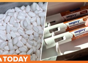 Weight Loss Industry Poised for Revolution With GLP-1 Pills