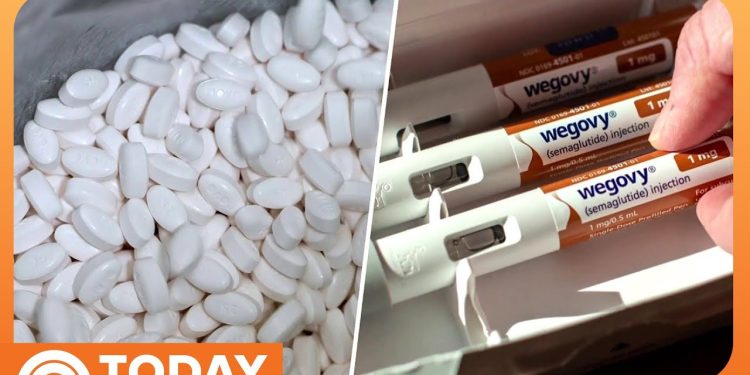 Weight Loss Industry Poised for Revolution With GLP-1 Pills